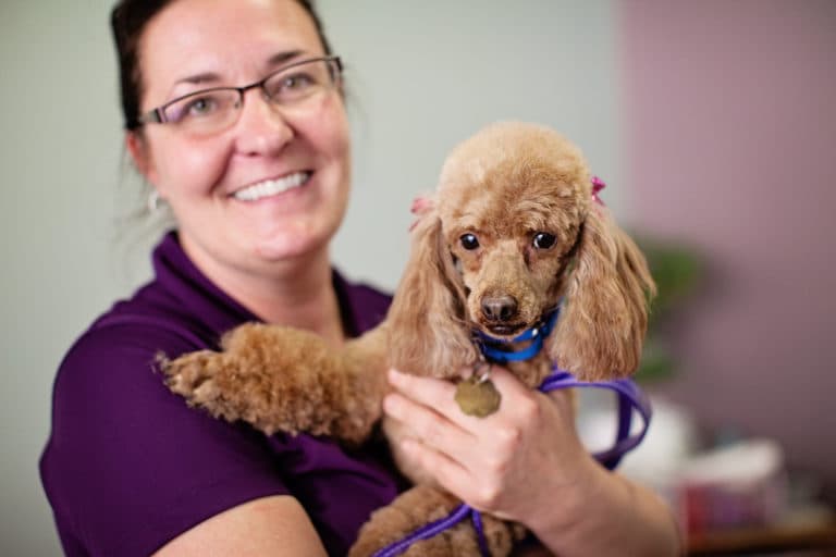 Senior dogs at Bob's House