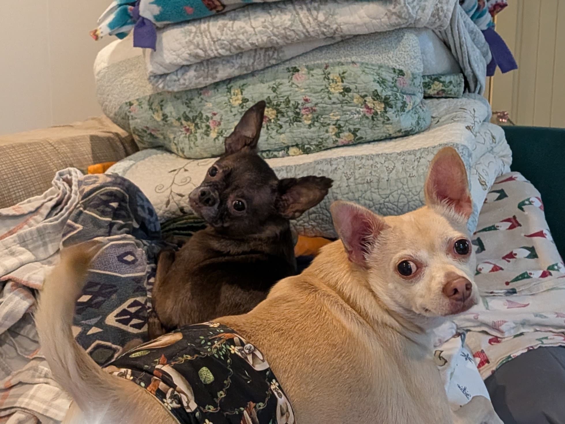 Dobbie & Fletcher